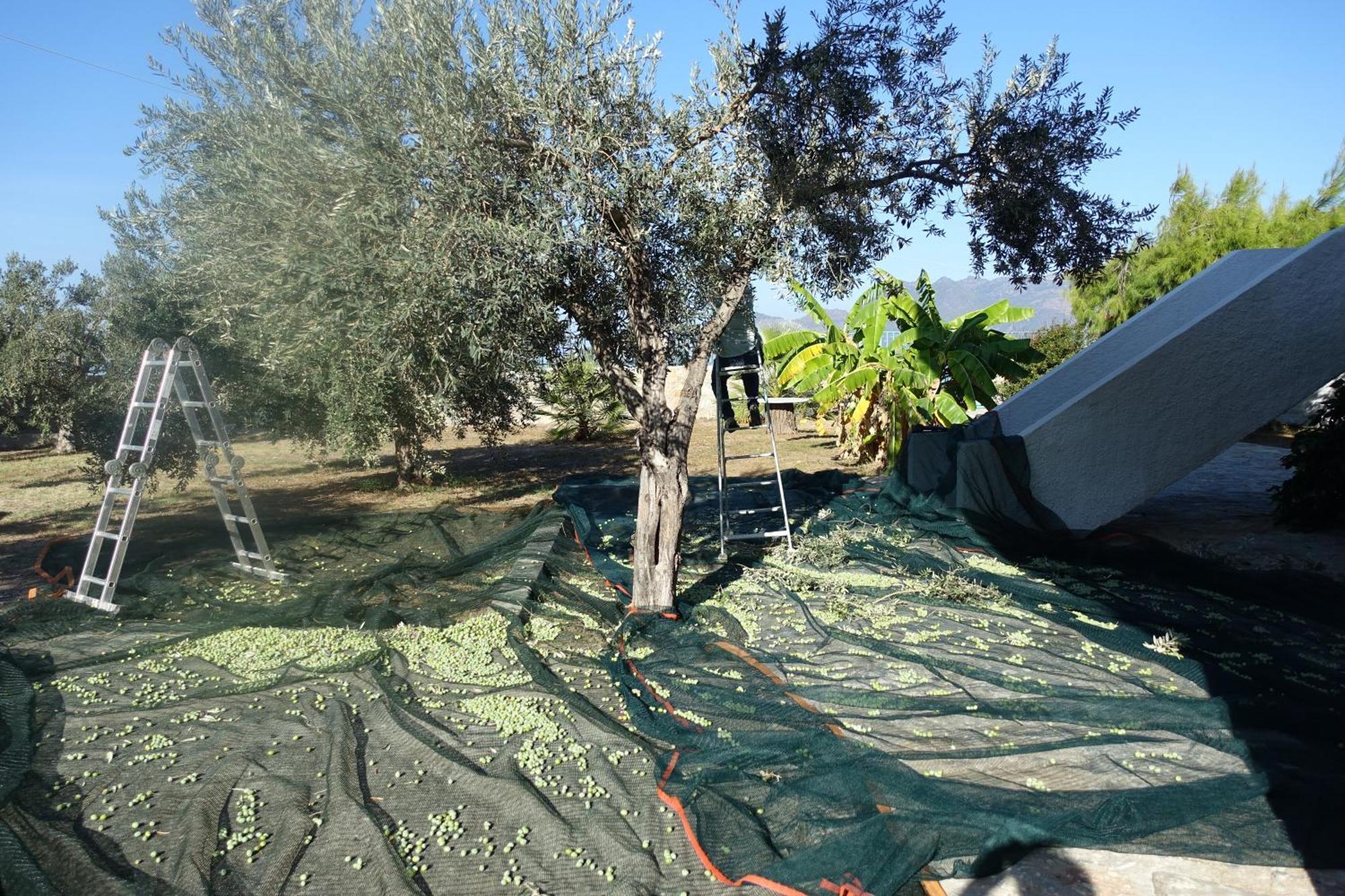 Villa In Kalloni Direkt Am Meer, Tolle Aussicht Екстер'єр фото